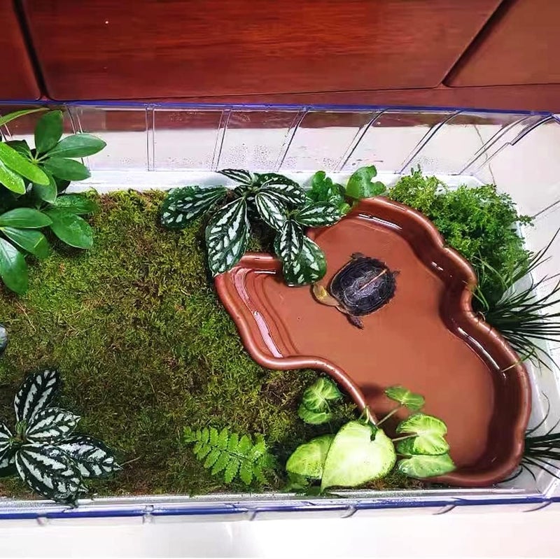Flushbay Extra Large Reptile Bathing Pool Reptile Feeding Dish Water Bowl with Ramp Aquarium Ornament for Gecko, Snake, Turtle, Bearded Dragon, Lizard Bath (Brown) - Image 2
